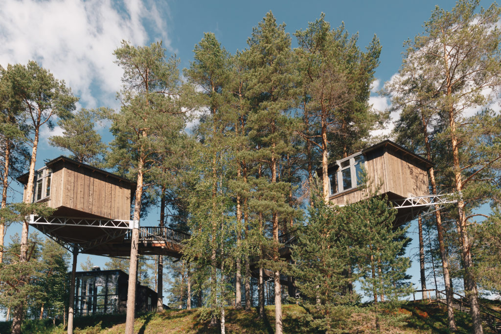 Granö Beckasin - Elles